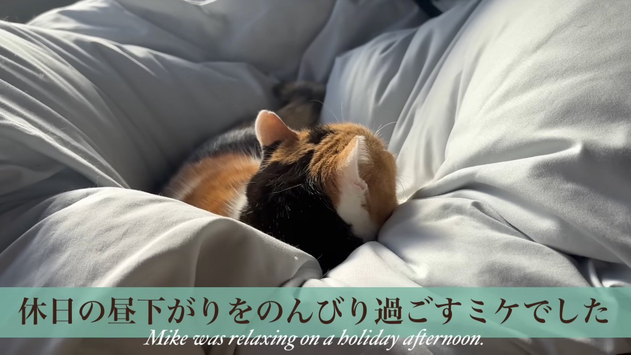 締めのセリフとミケの後ろ姿