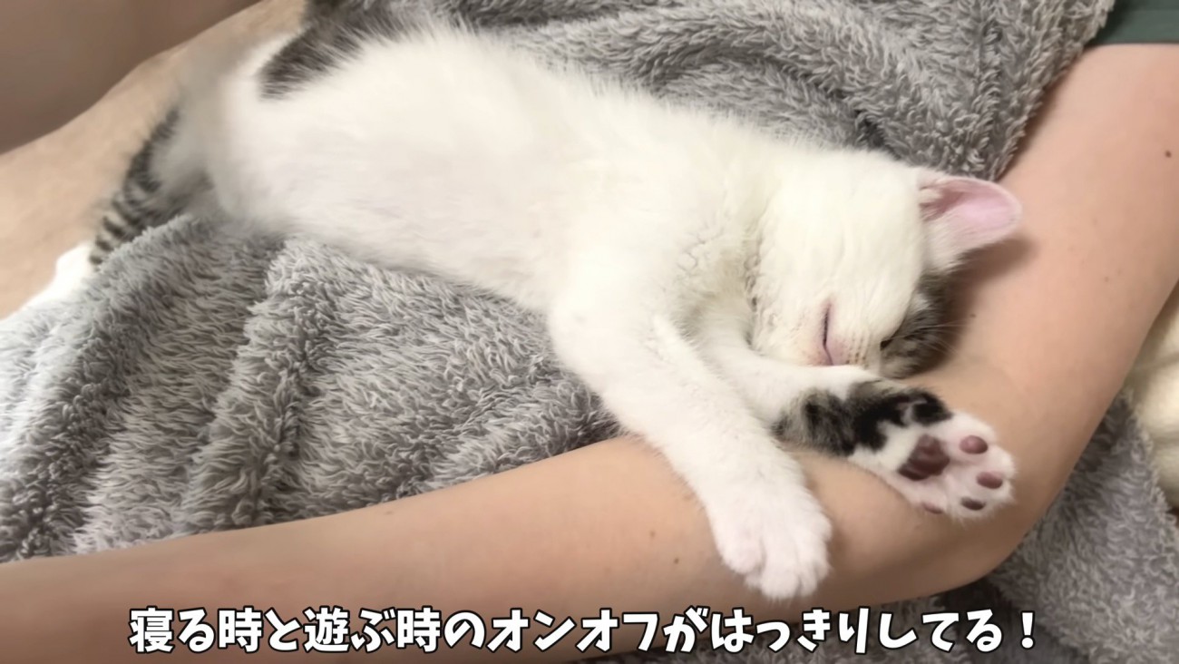 あっという間に寝た坊ちゃん