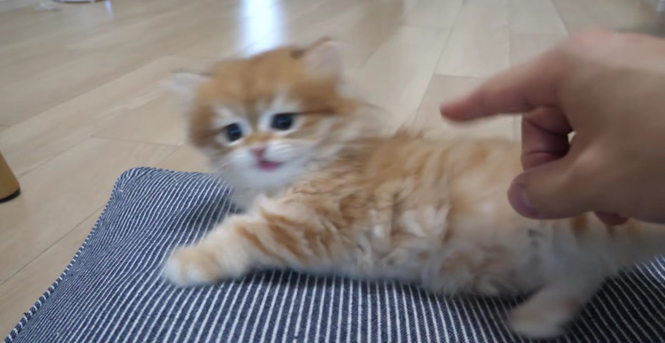 手にびっくりする赤ちゃん