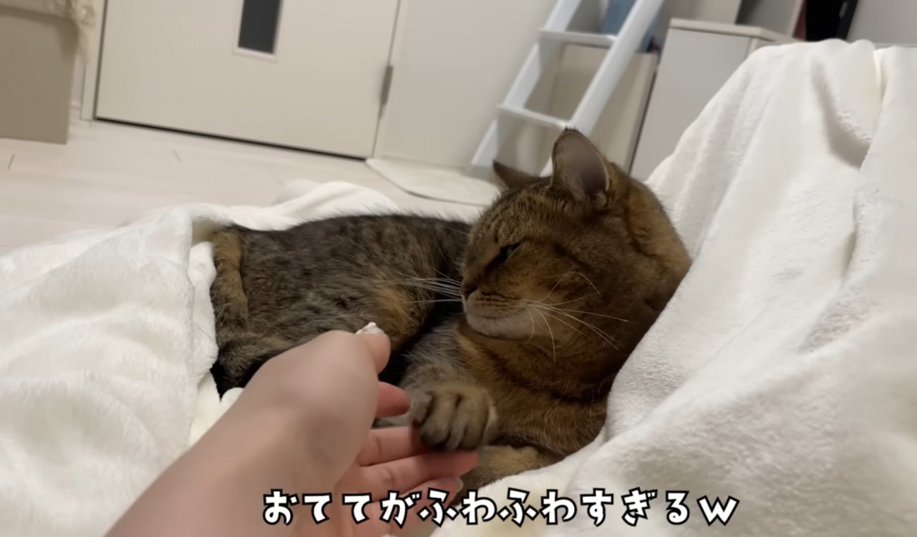 ふわふわの手をいじられるみにらくん