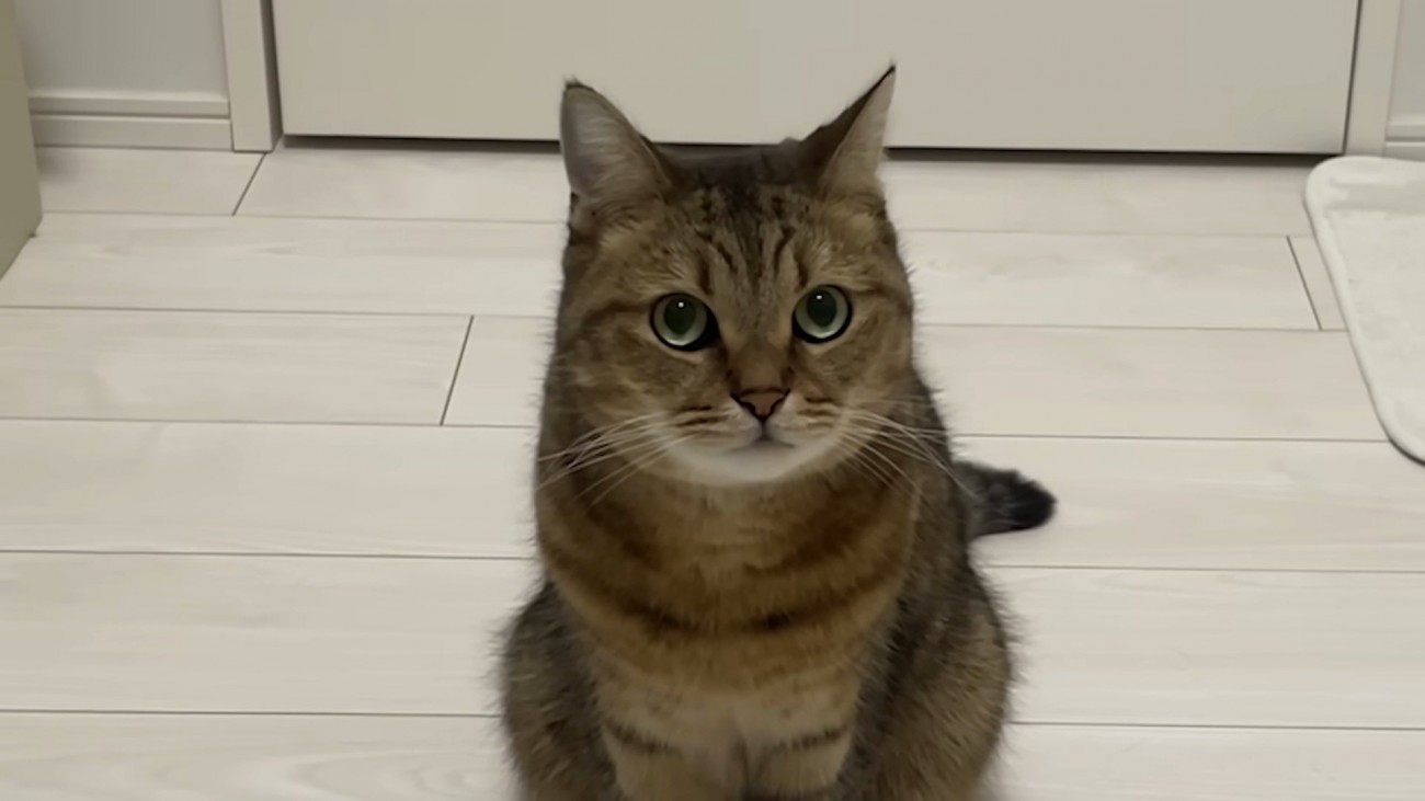 みにらくんの紹介写真