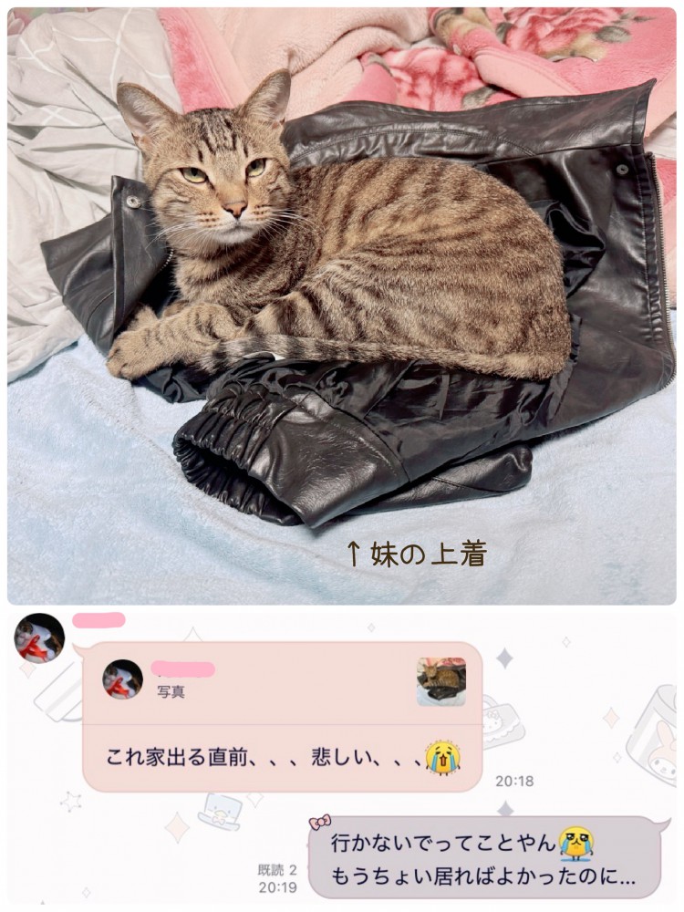 上着に乗る猫の写真とメッセージ