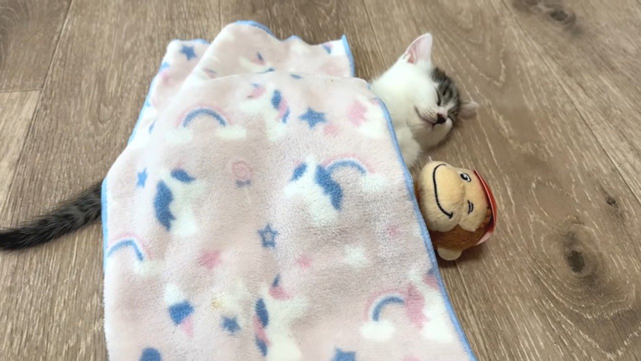 ブランケットをかけて