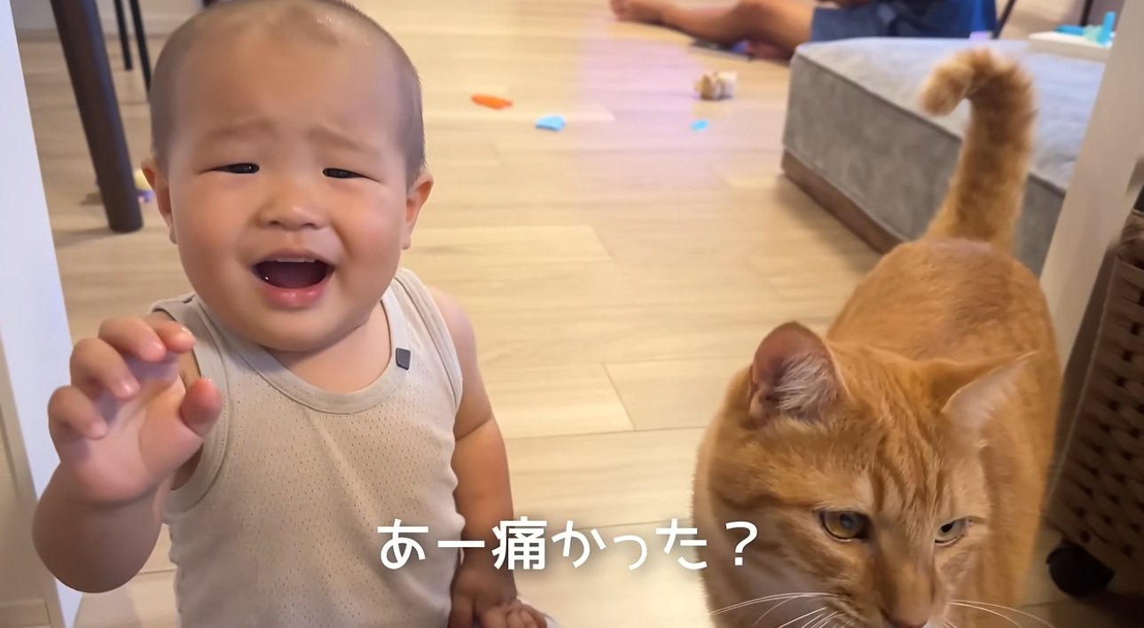 猫におやつをあげる赤ちゃん