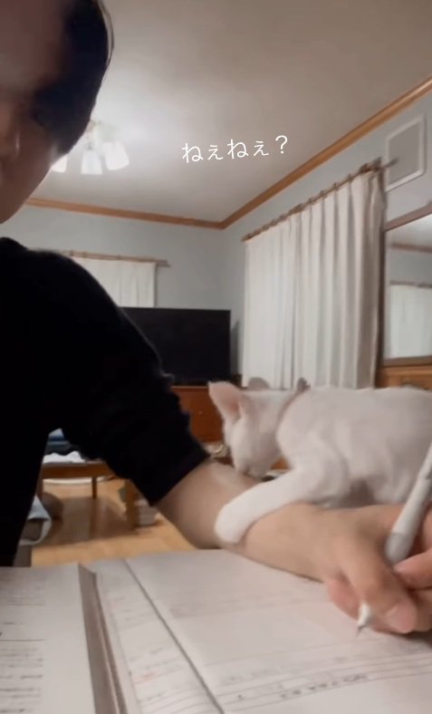 猛アピール