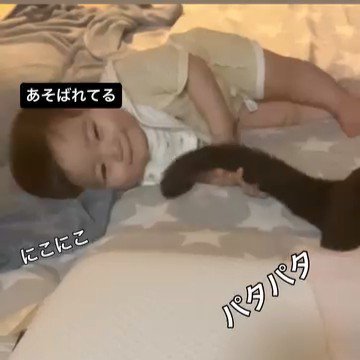 猫のしっぽが顔に当たって笑顔の赤ちゃん