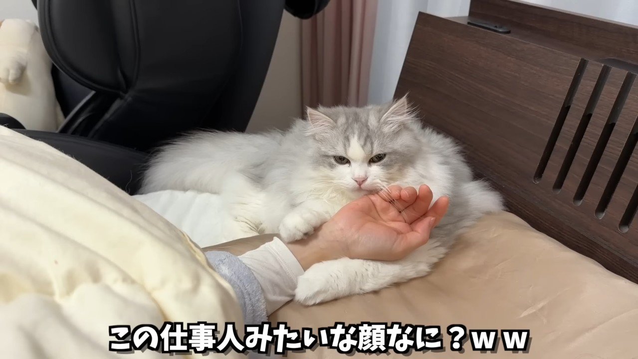 仕事人みたいな顔