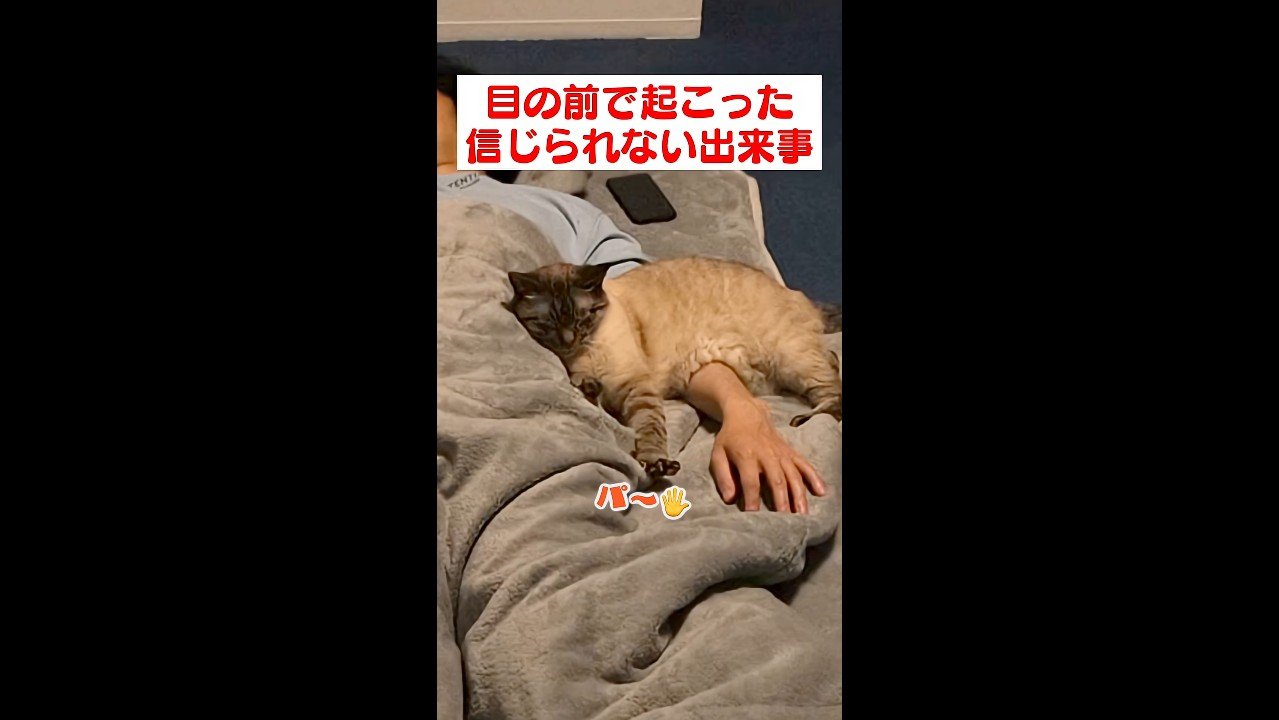 パ〜