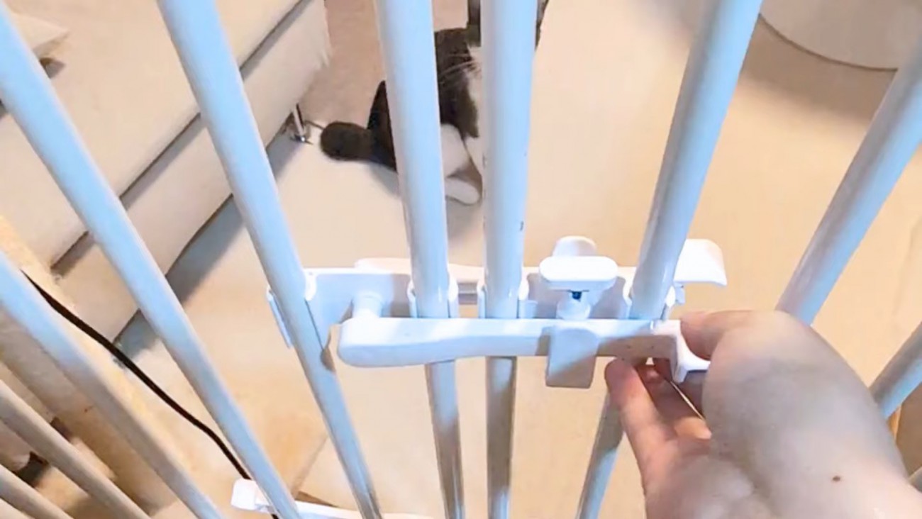 ペットゲートを開ける手と柵の隙間に覗く猫ちゃん