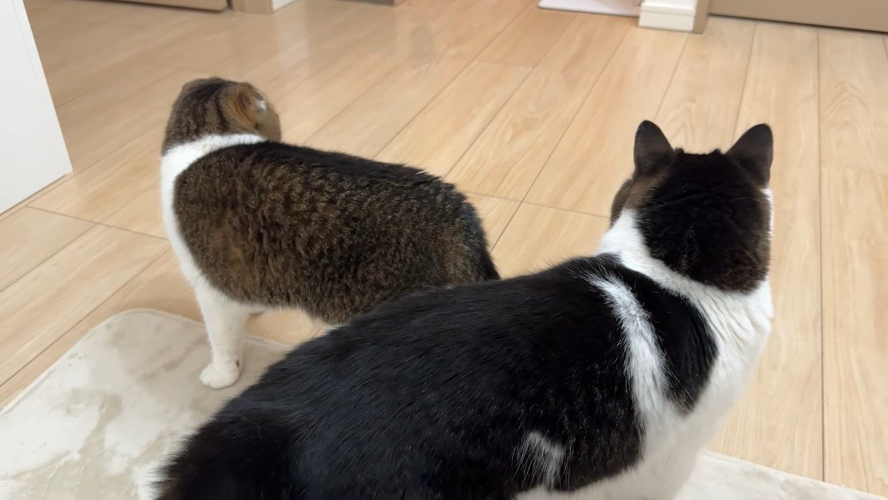 親子の後ろ姿