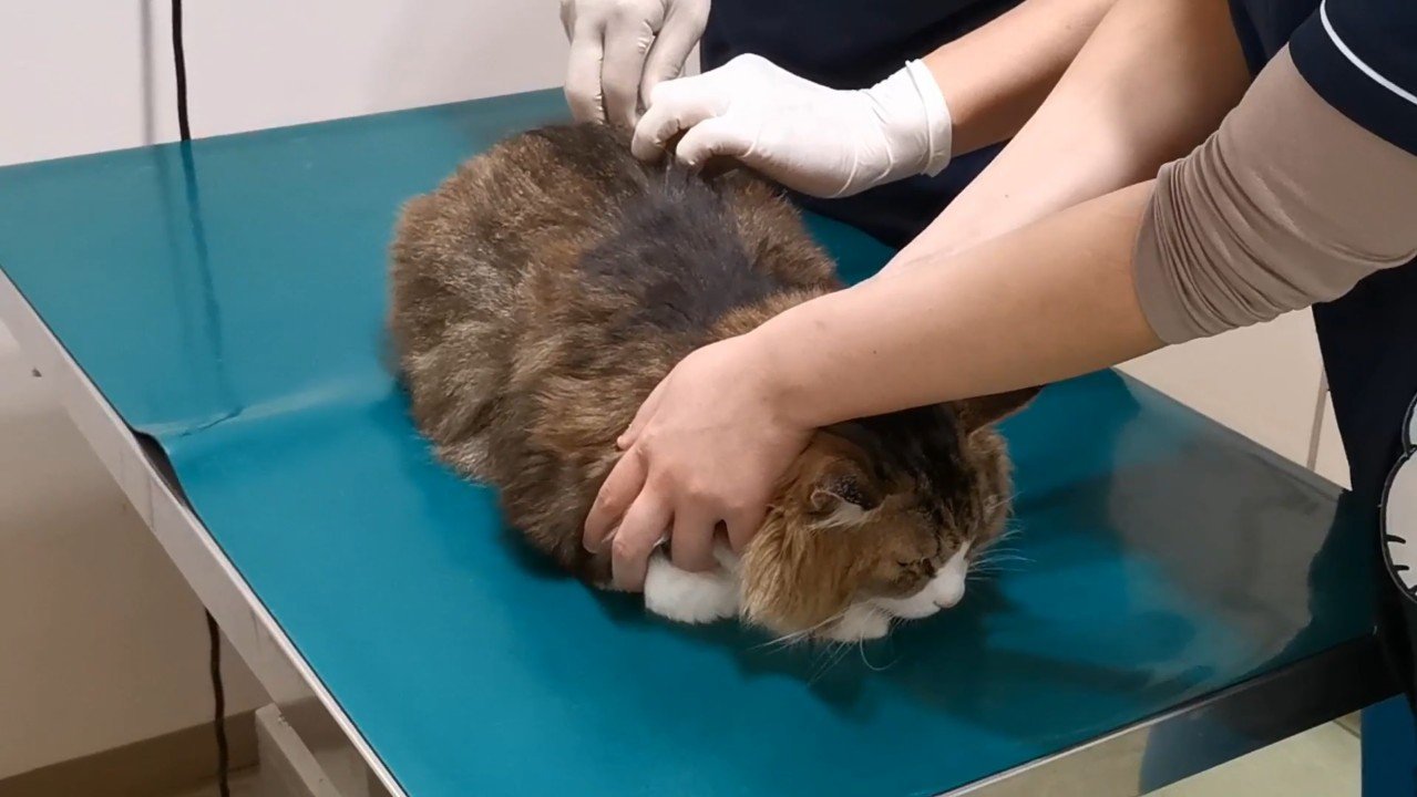 注射
