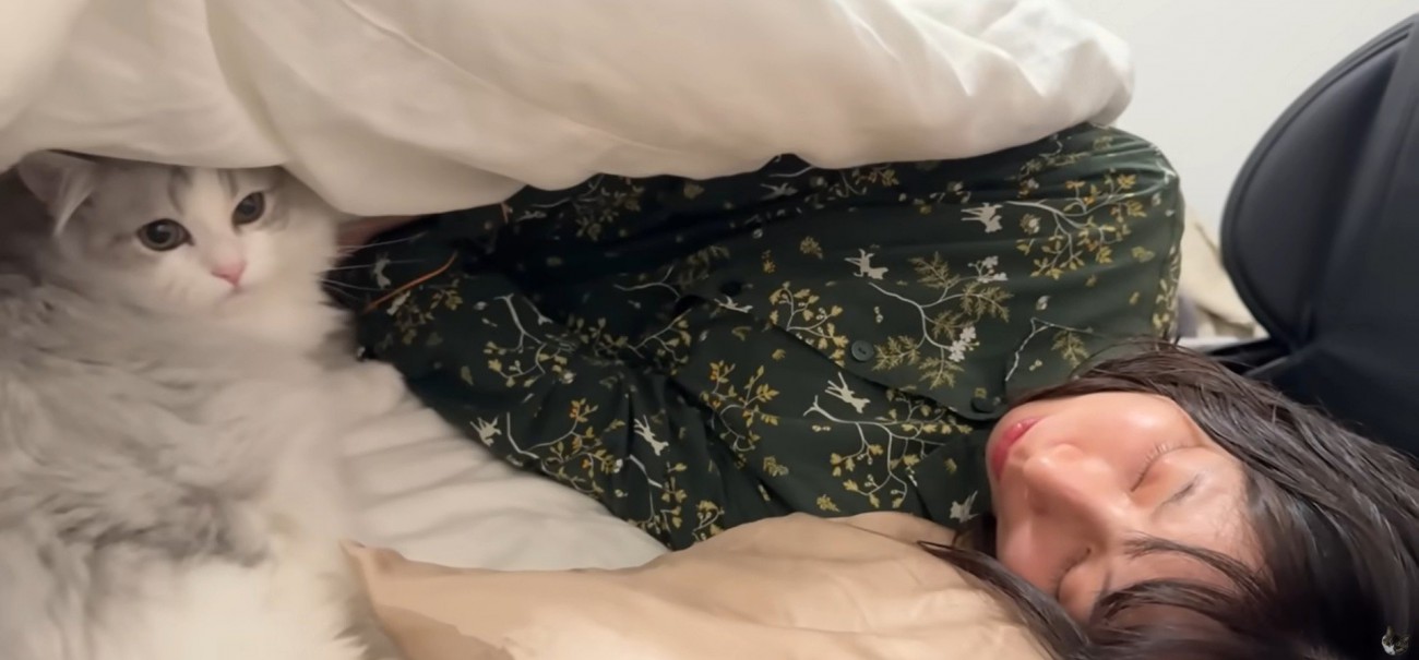 布団の中で寝ている人と猫