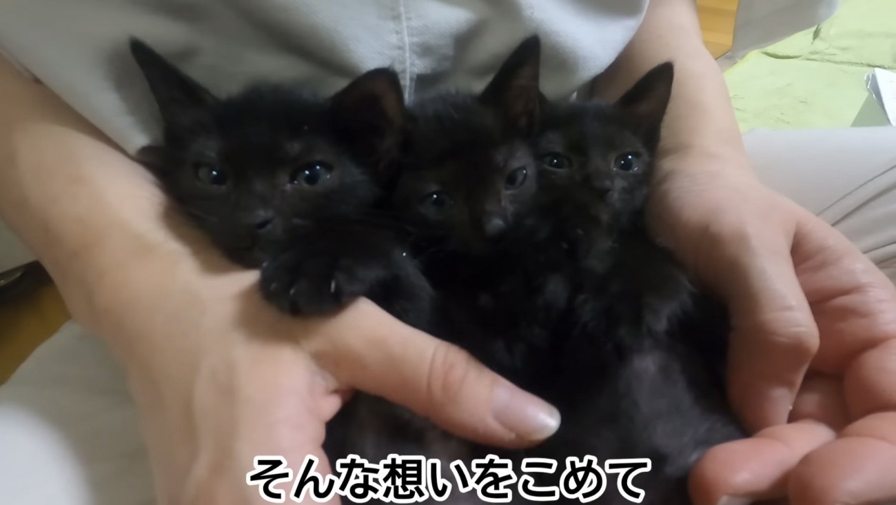 「そんな想いをこめて...」のテロップ写真