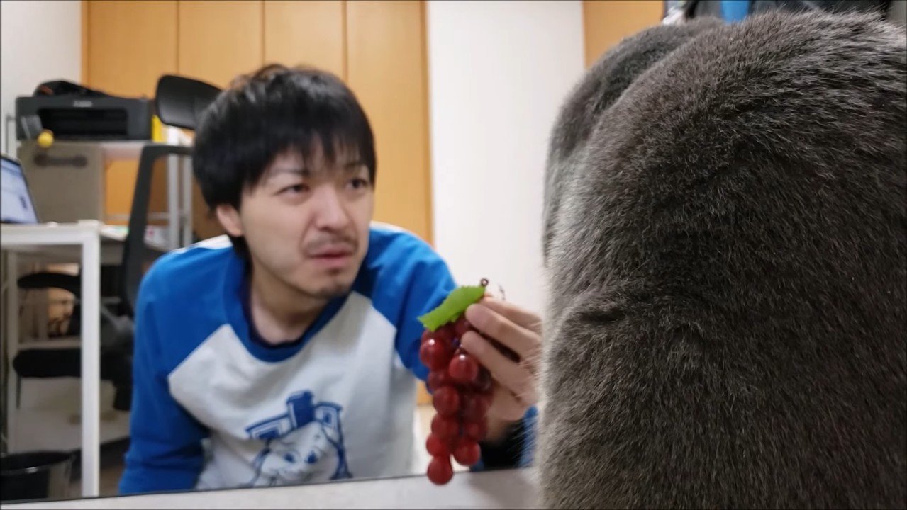 後ろ姿のアップ