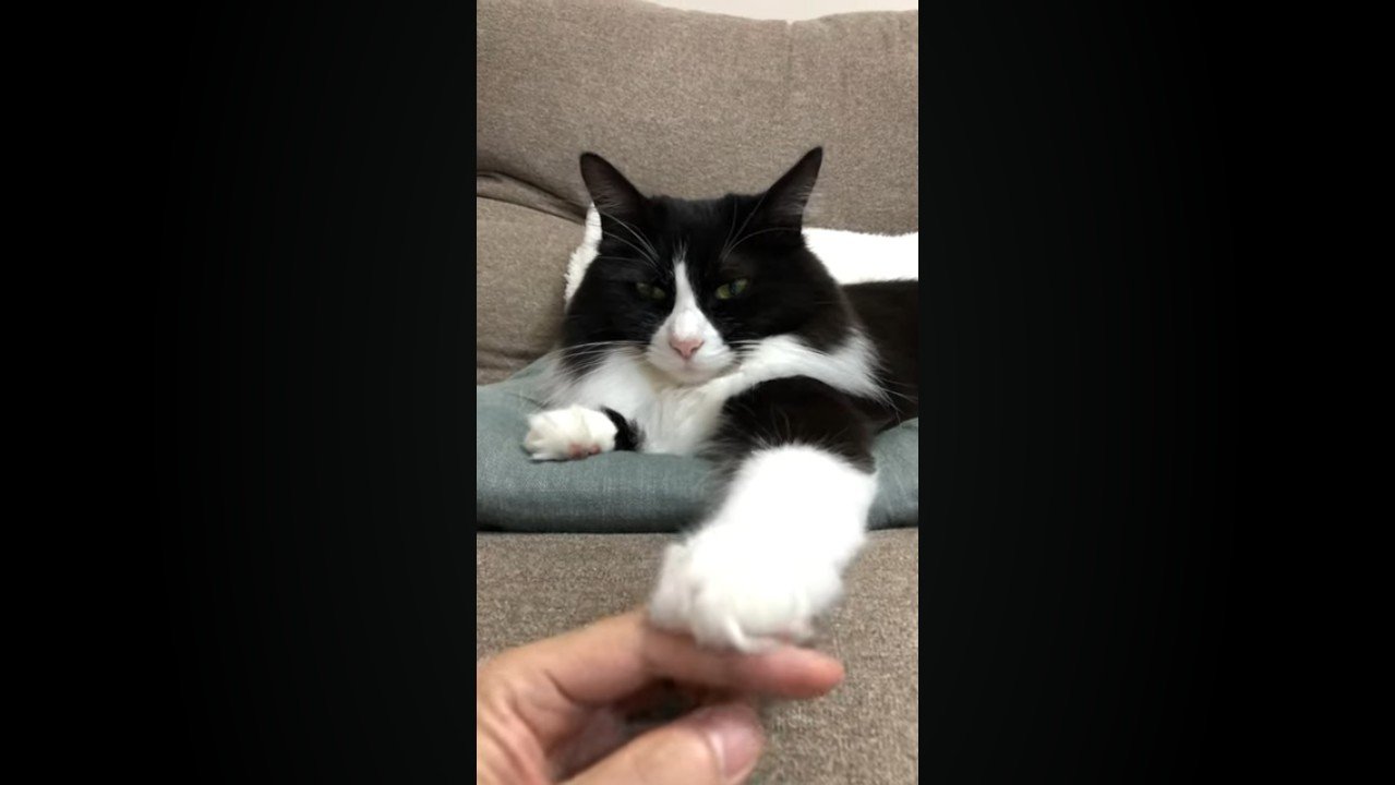 正面から
