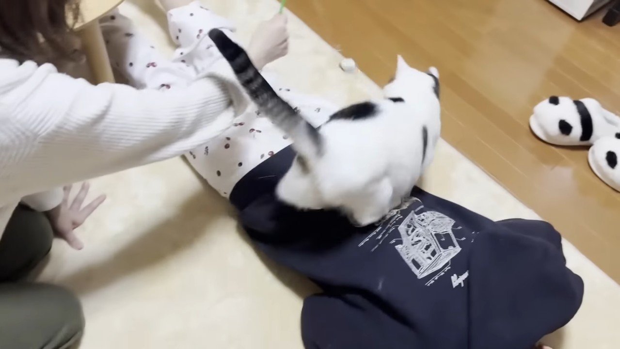 背中に後ろ足を