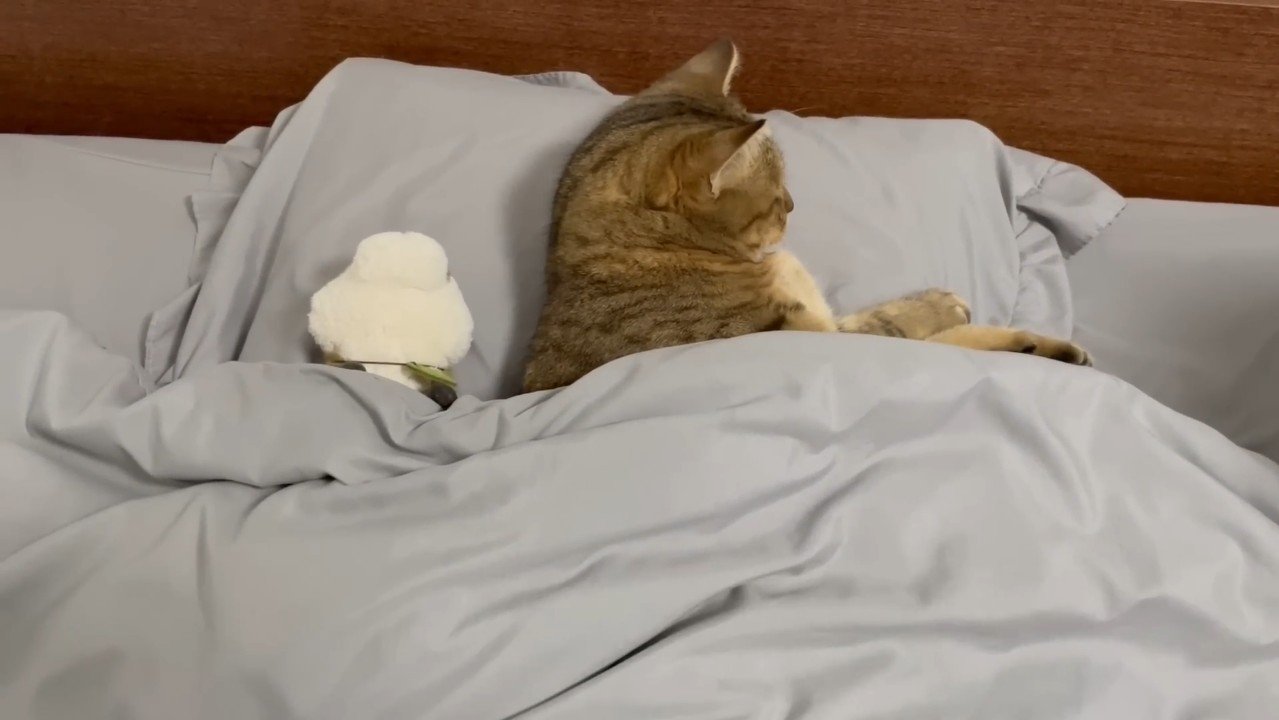 上から(横向き)