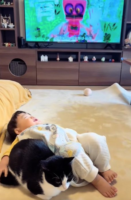 テレビの前で寝転ぶ赤ちゃんの近くで香箱座りをしている猫