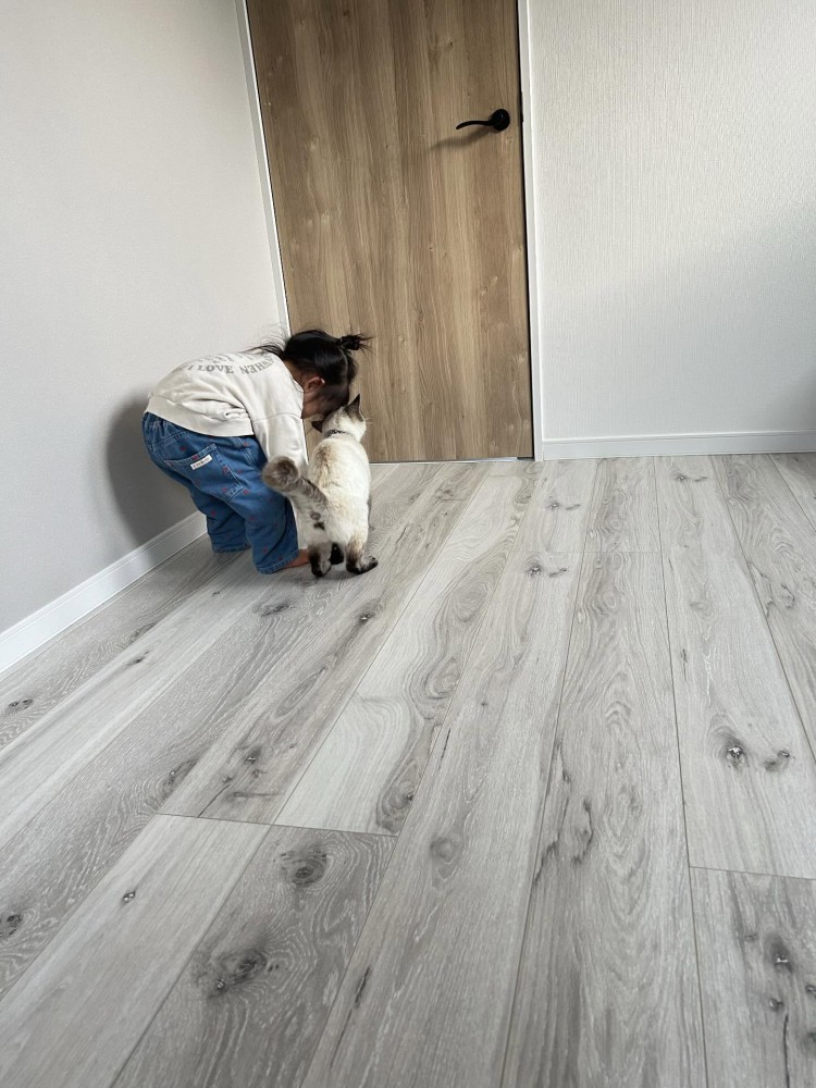 子どもと猫の後ろ姿