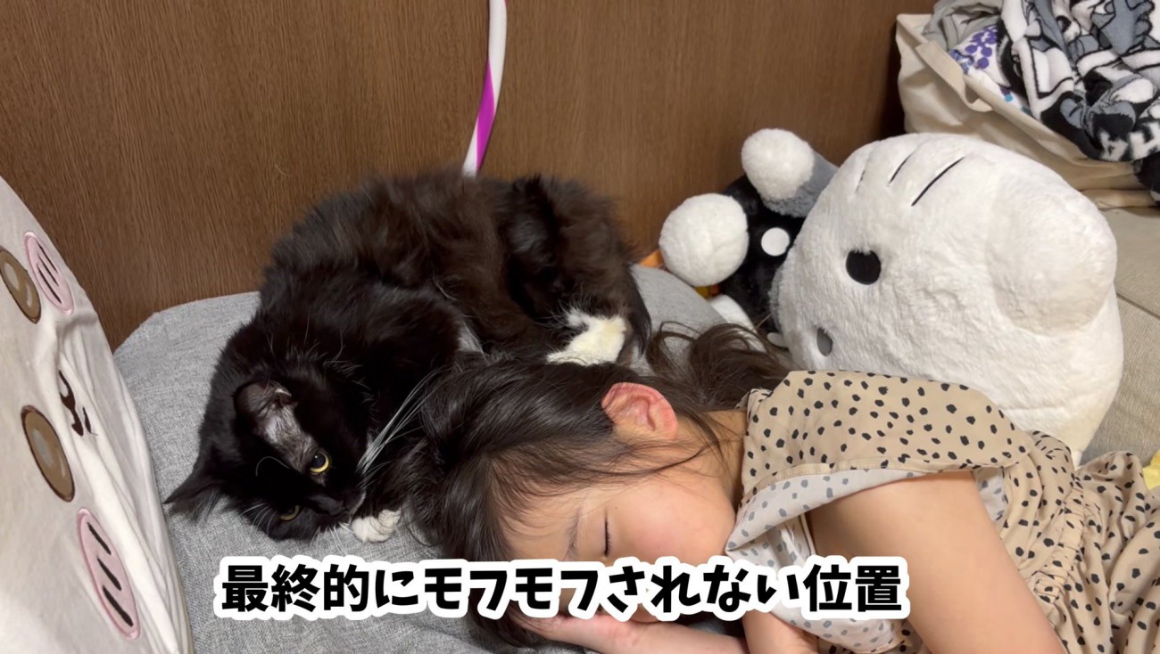 安全圏へ避難