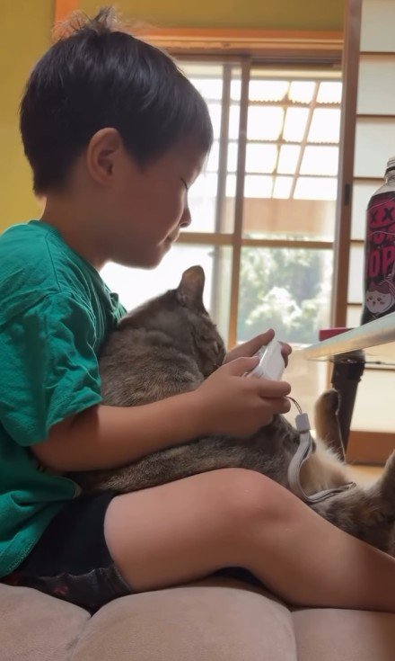 ゲームをしている男の子と猫
