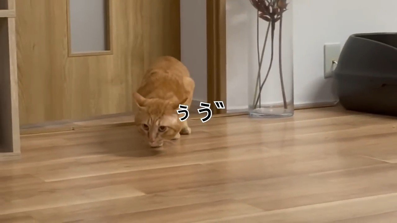ぅう゛