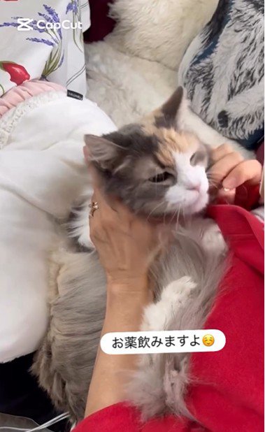 飲み薬を持っている人と抱かれている猫