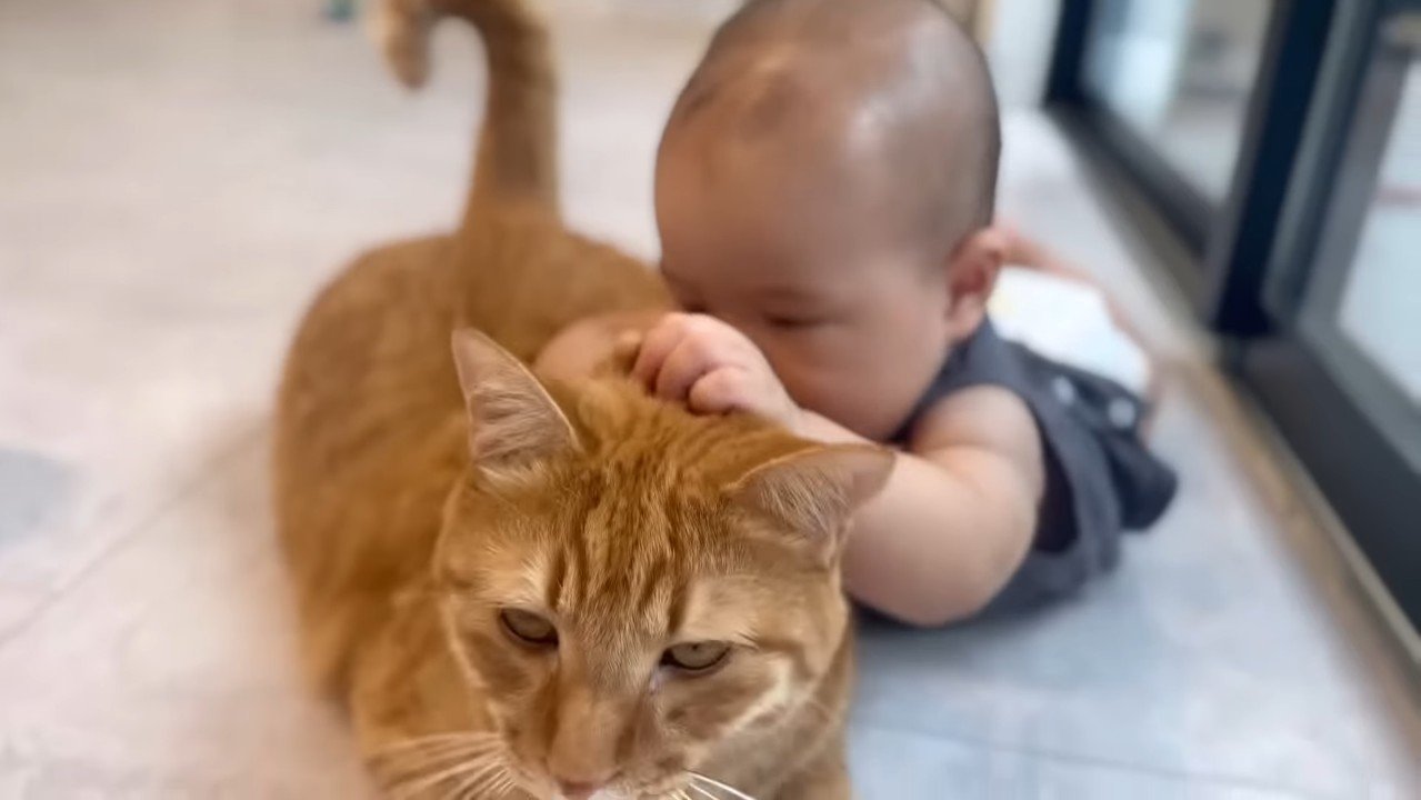 頭をキュッと掴む赤ちゃん