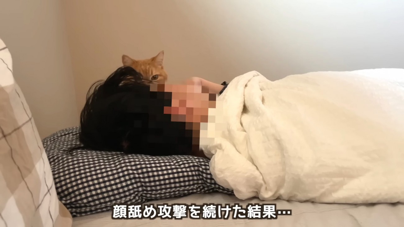 寝ている人の横に座る猫