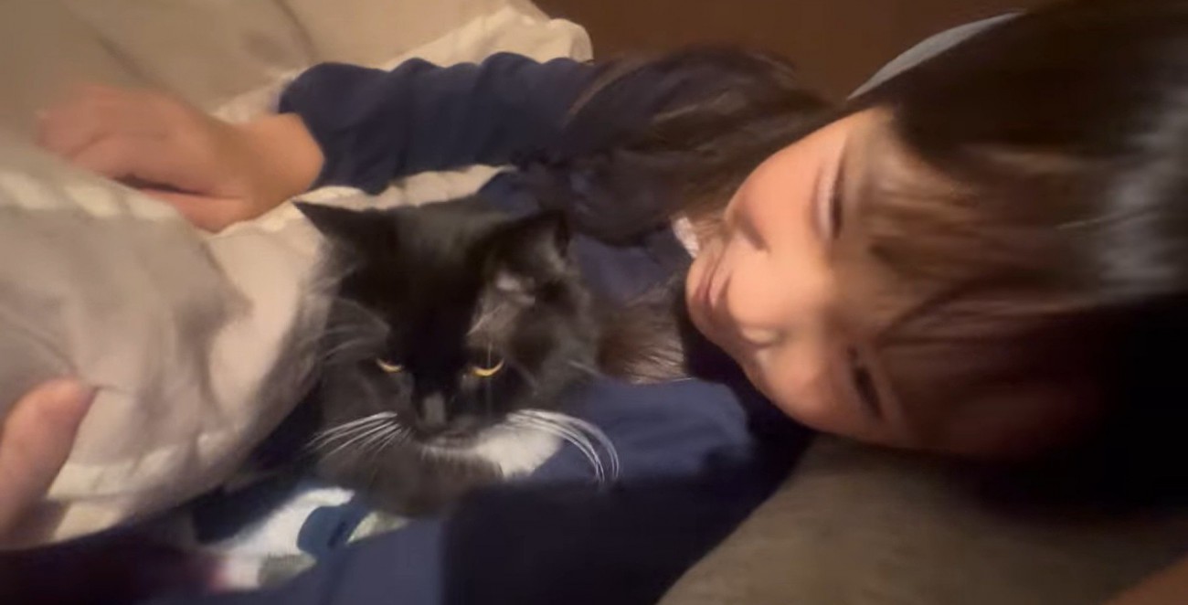 布団に潜り込んでいる猫と隣で寝ている子ども