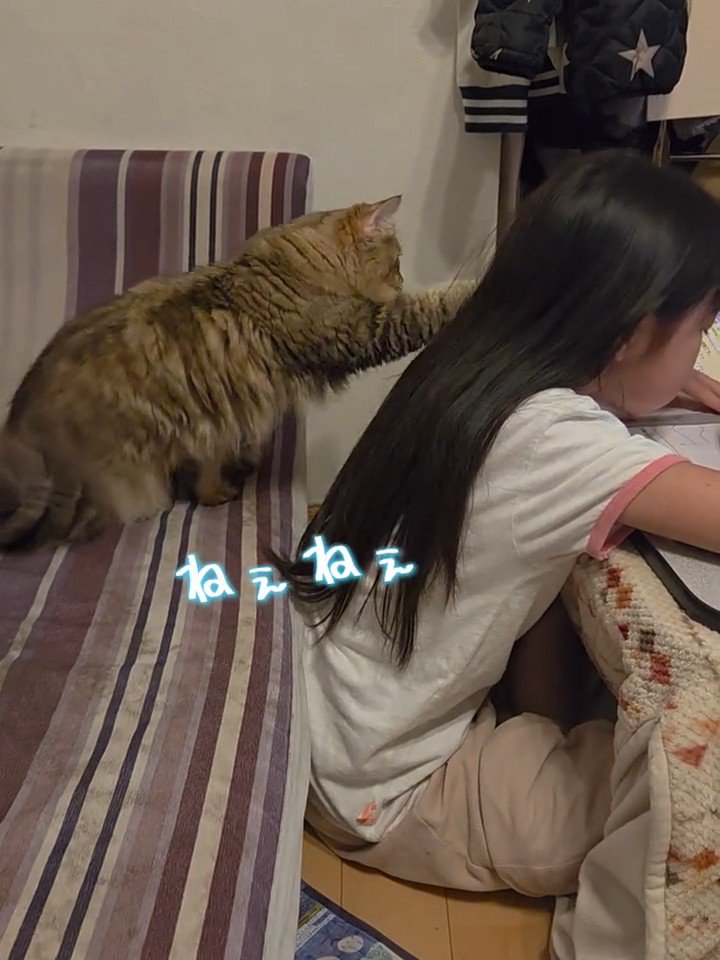 子どもの肩に片方の前足を乗せる猫