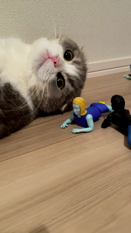 ゾンビのおもちゃの隣で寝転がる猫