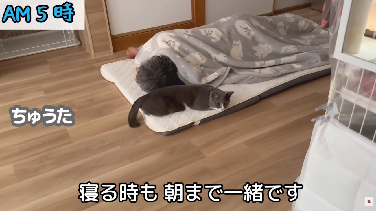 テロップ「寝るときも～」