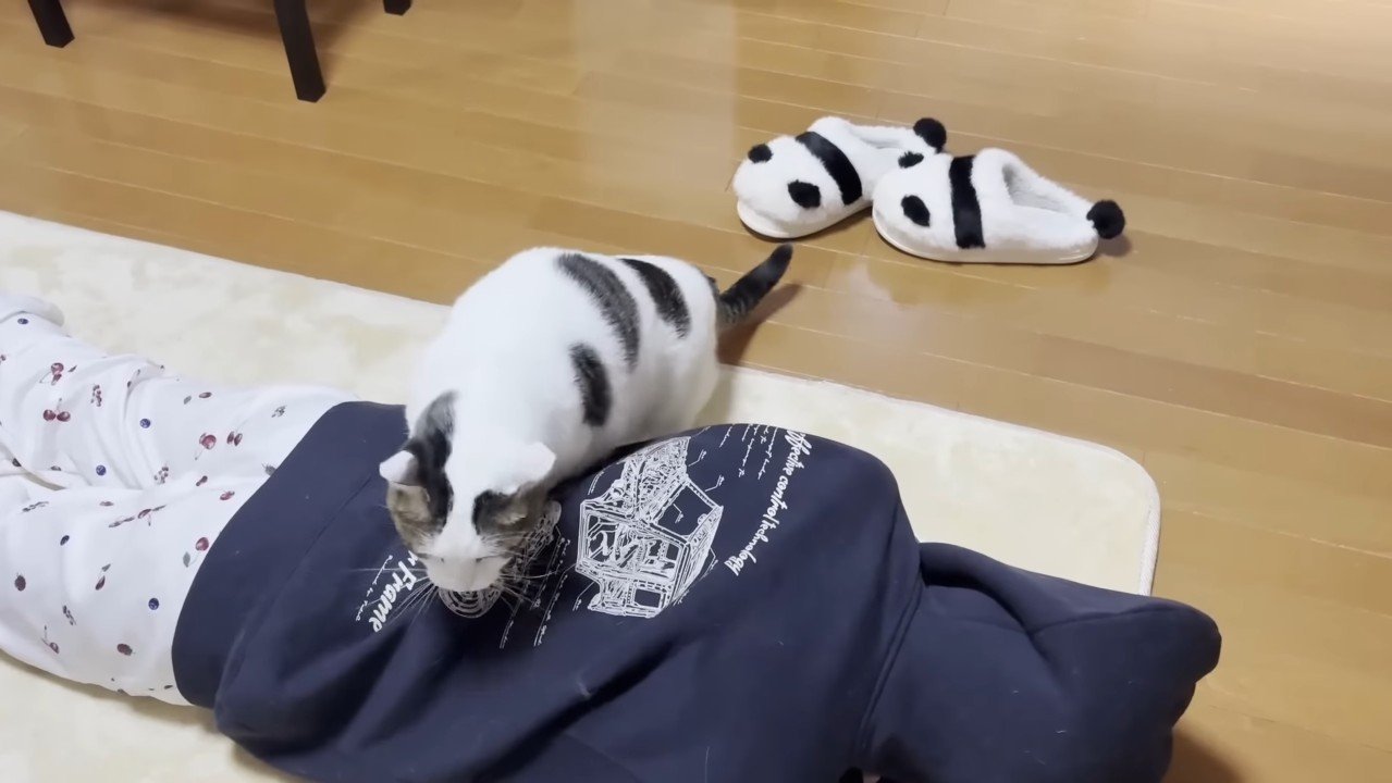 背中に前足をついて