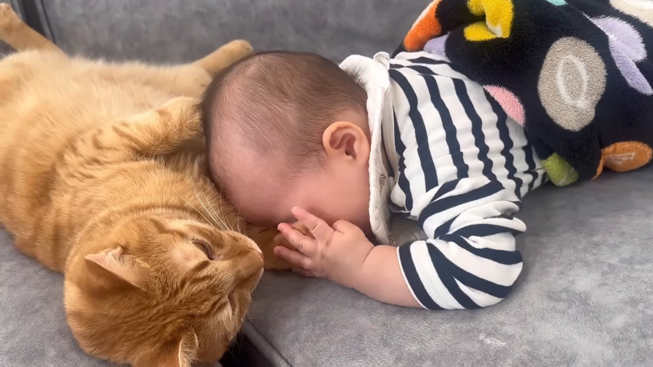 くっつく赤ちゃん