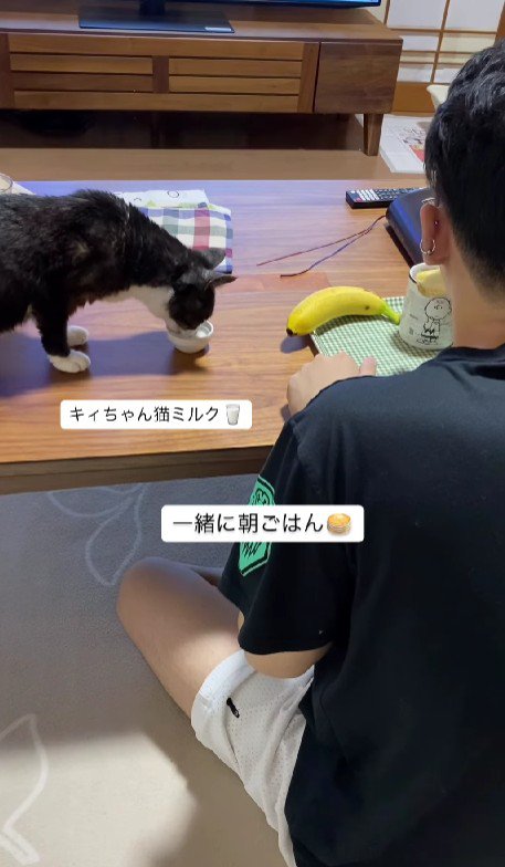 朝食をとる男性と猫