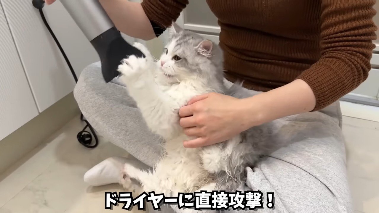 ドライヤーに直接攻撃！