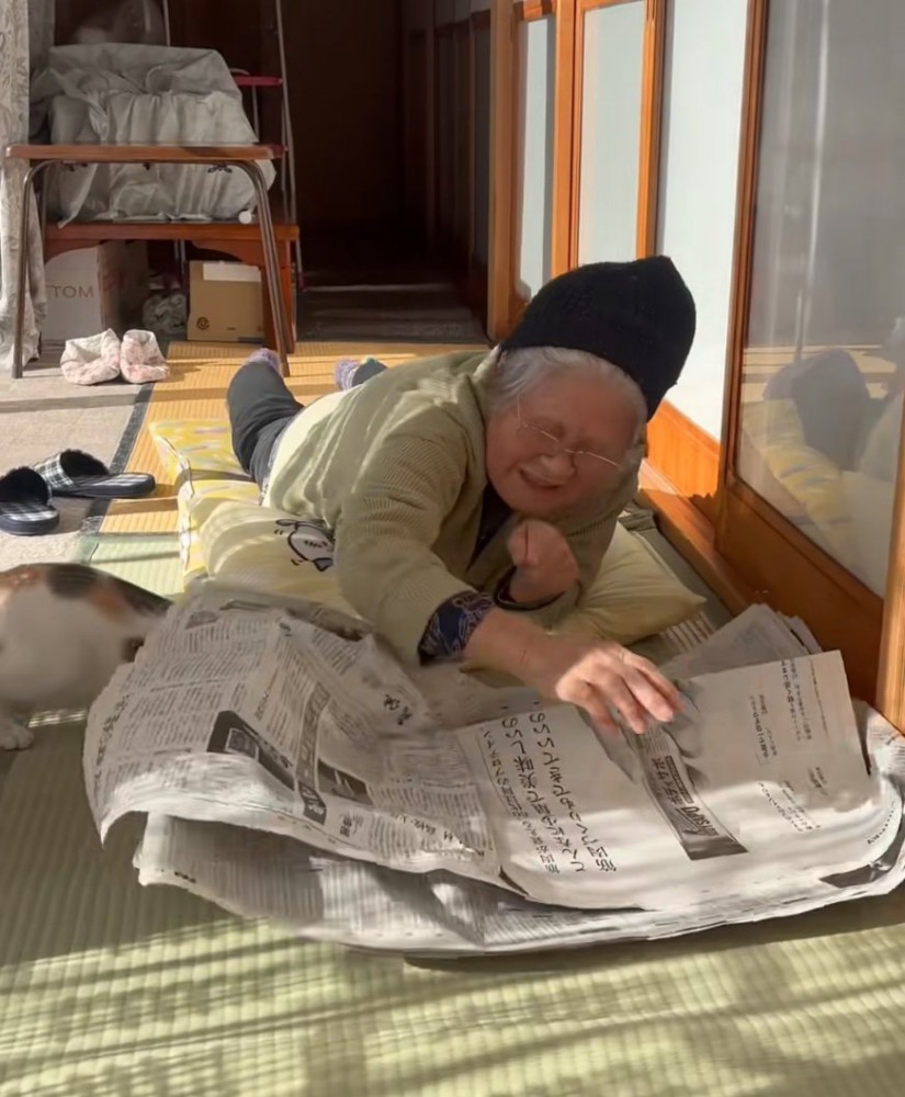 新聞にスライディングする猫