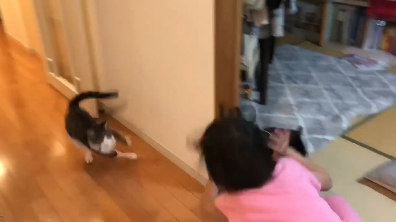 鉢合わせ