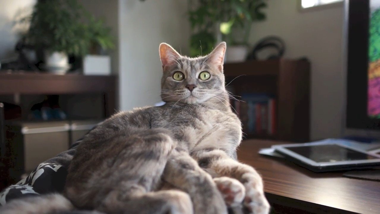 くつろぐクリエちゃん