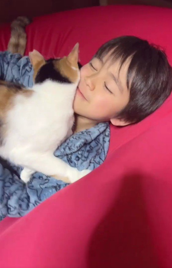 ベッドの上の男の子と猫