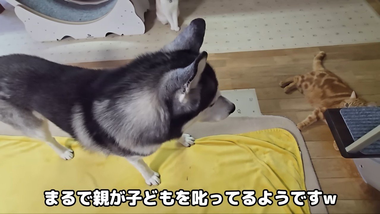 まるで親が子どもを