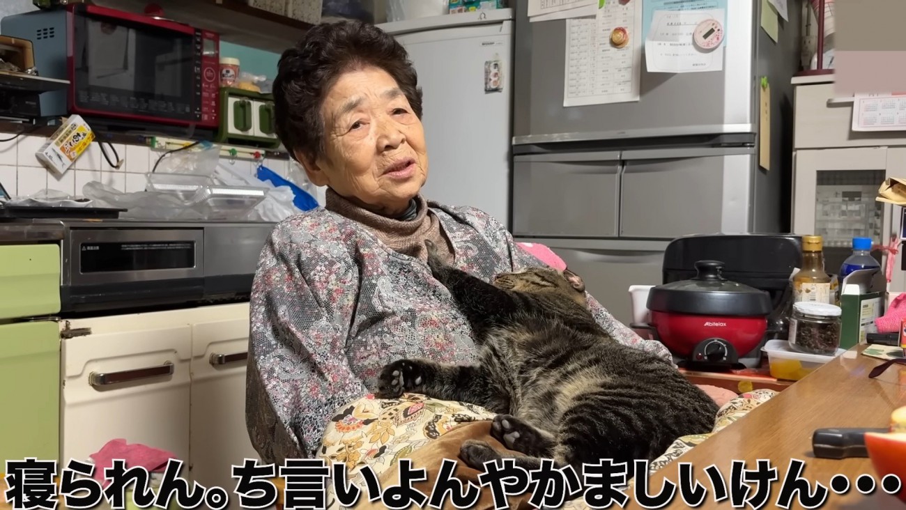 おばあちゃんと猫