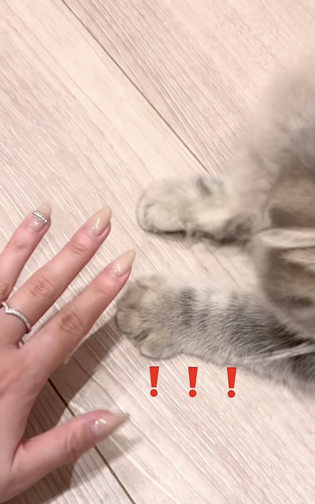 おててを開き始める凪ちゃん