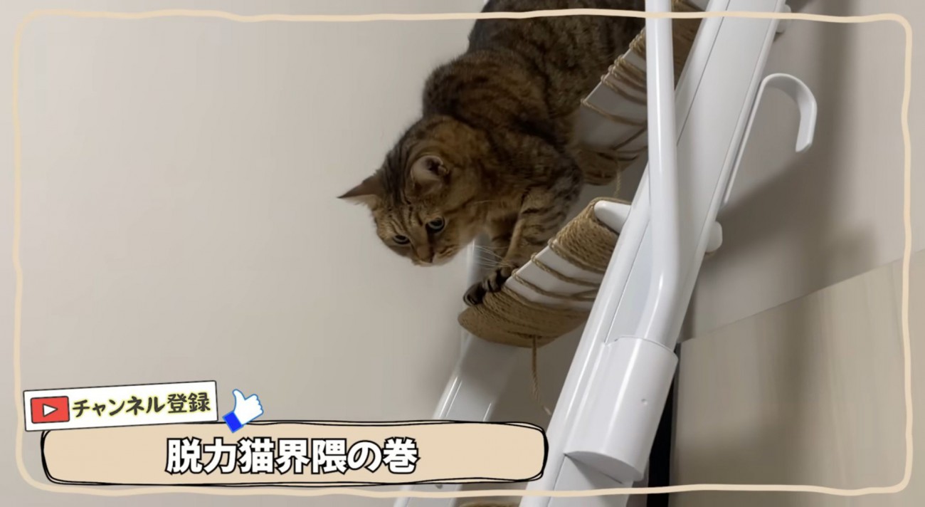 はしごを降りるみにらくん