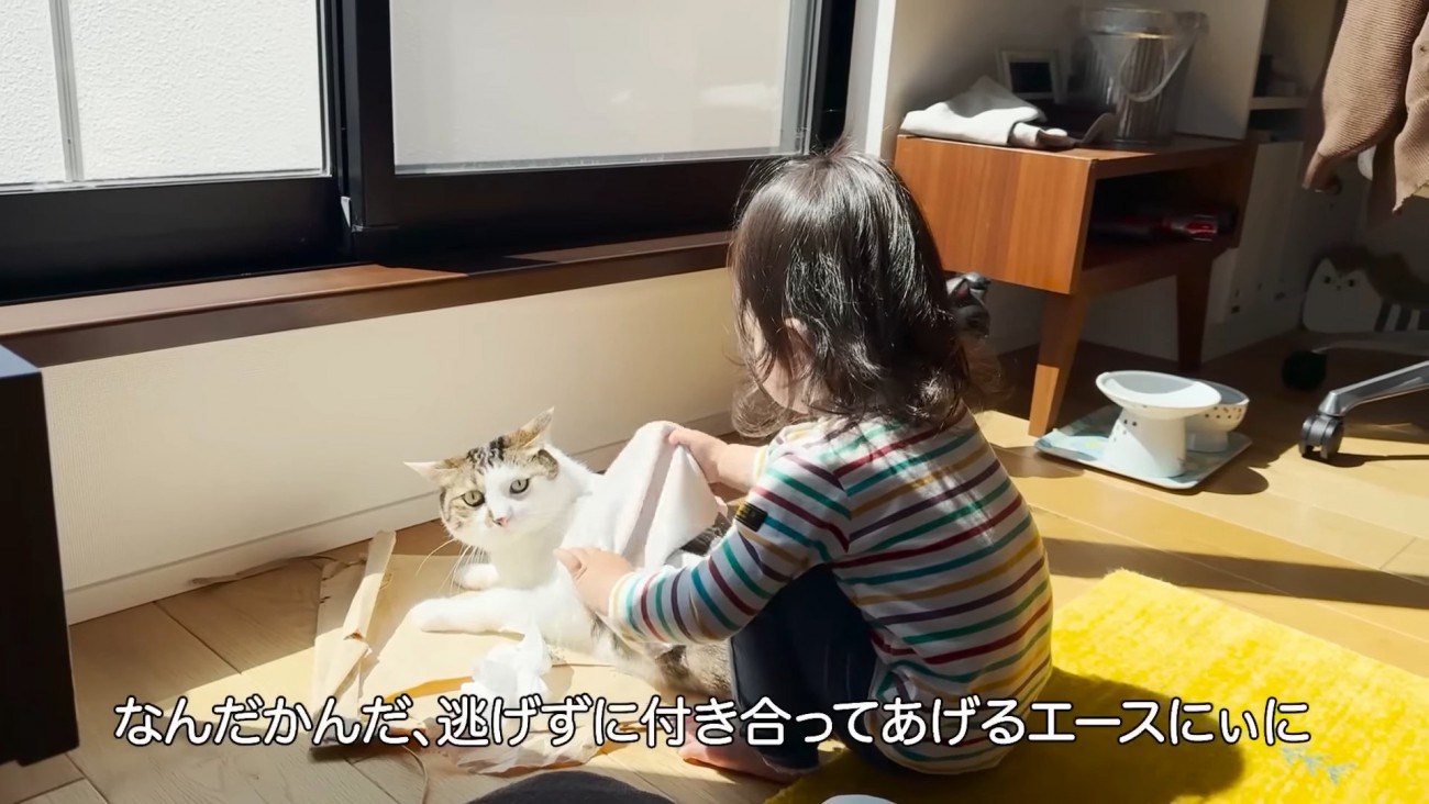 子どもと一緒にいる猫