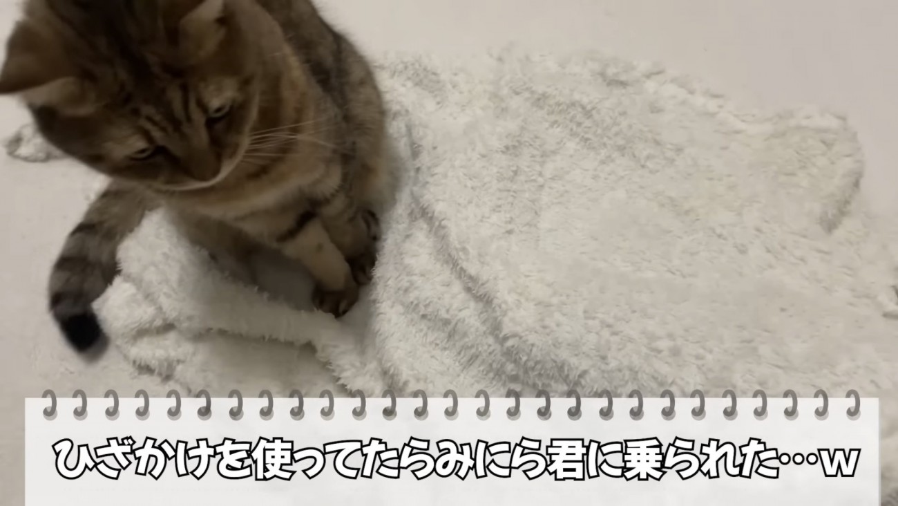 「ひざかけを使ってたら...」のテロップ写真