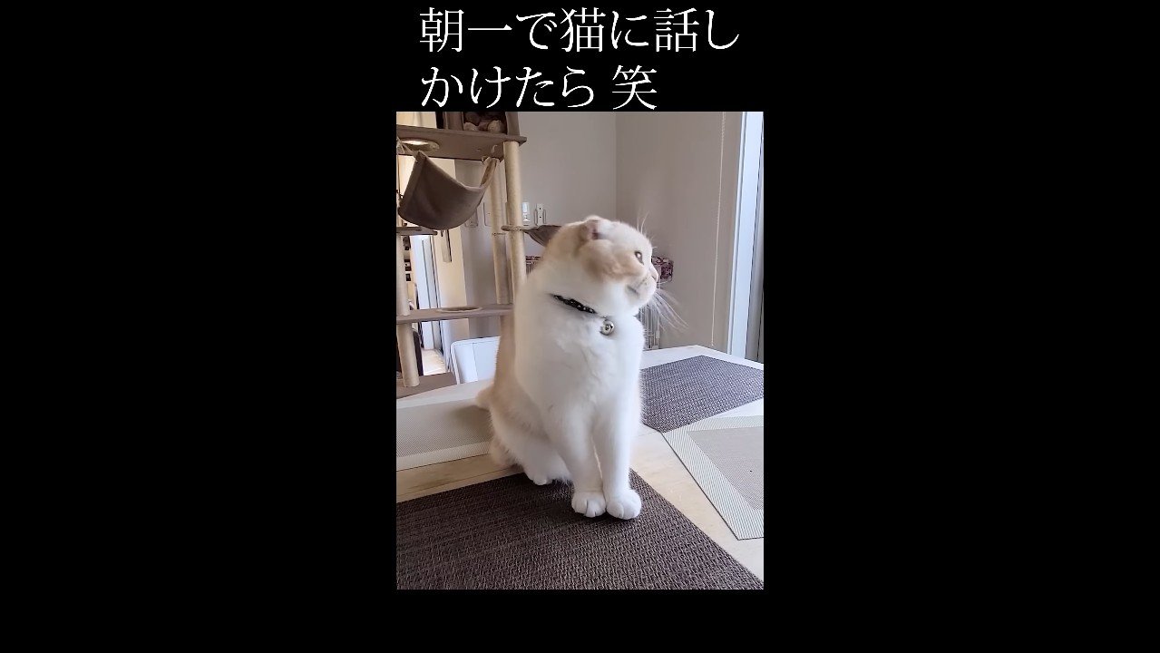 左を向く姿
