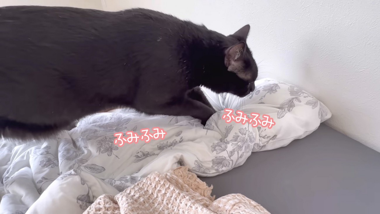 寝床を整えるくまごろう