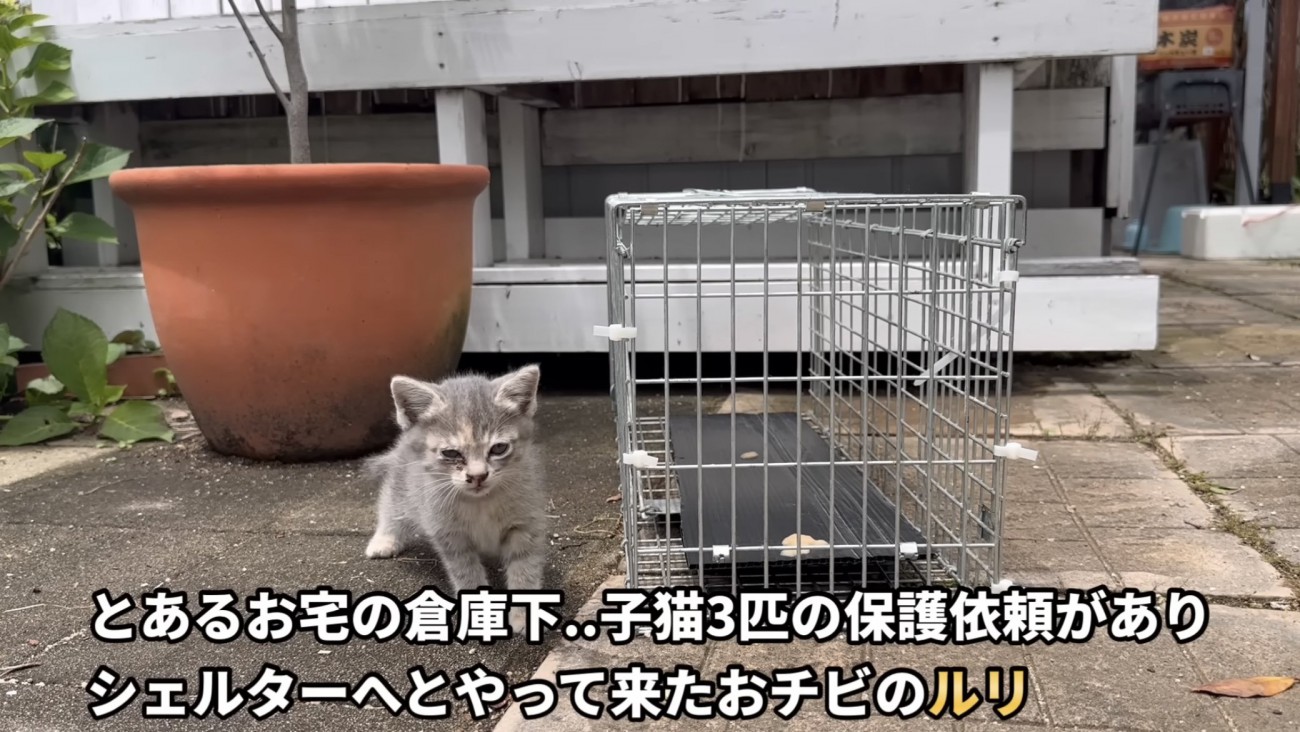 「とあるお宅の...」のテロップ写真